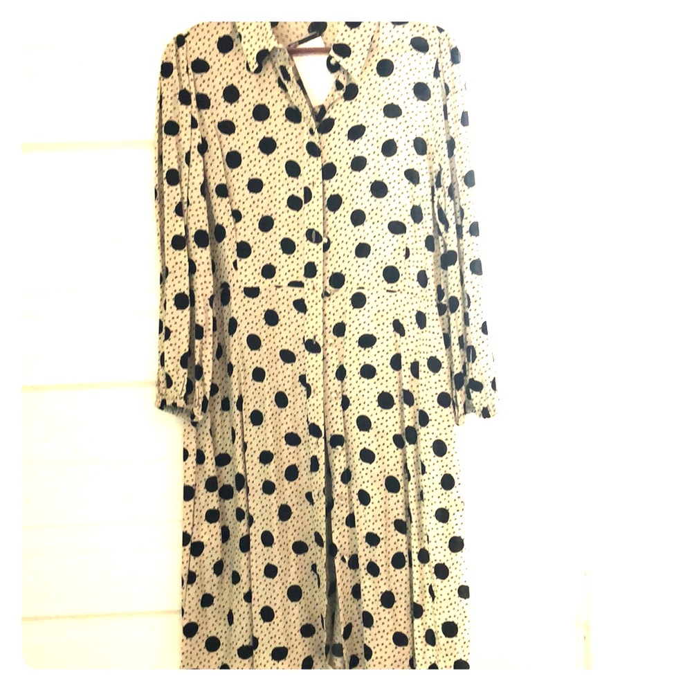 Collared, polka dot button down dress